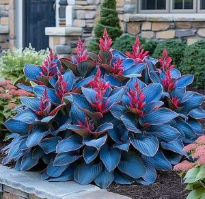 Хоста Грин Фог купить по цене от 669р. в интернет-магазине «Посадика» с доставкой почтой в в Новоузенске и по всей России – [изображение №1].